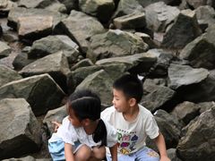 -宝安西湾红树林湿地公园