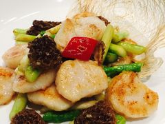 -子福慧(虹桥店)