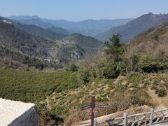 -千岛湖石林