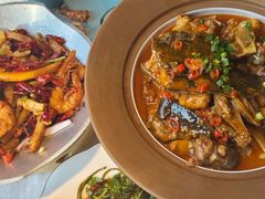 -洞庭家宴·头牌甲鱼(广渠门店)