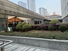 -纯味斑鱼府(中海环宇荟店)