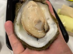-蚝抵食·湛江生蚝(湾北路店)