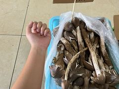 -双喜农庄·菌香园(安居家园店)