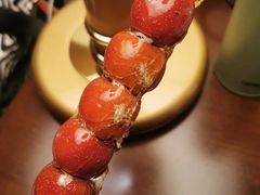 -和禄德冰糖葫芦