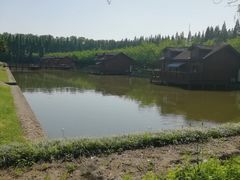 -金岛生态园烧烤露营地