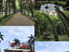-中国科学院华南植物园