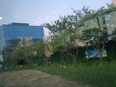 -青岛银沙滩