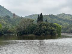 -深圳仙湖植物园