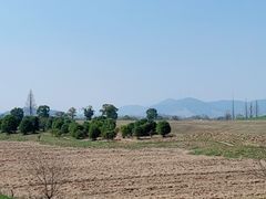 -良渚古城遗址公园