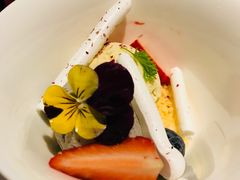 -蝶舍·MAISON PAPILLON