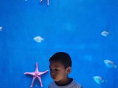 -沈阳海洋探索中心