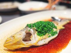 古法蒸大黄鱼-上海滩餐厅(BFC外滩金融中心店)