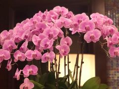 -浙江三立开元名都大酒店