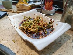 -先机泉水鸡汤(南山老君洞店)