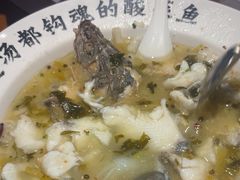-宋小谨(惠安禹洲店)