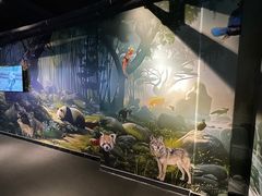 -西霞口神雕山野生动物世界