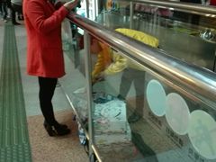 -OL’s Cake鲜荟千层(东风中路店)