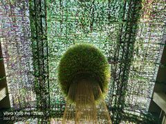 -深圳东部华侨城茵特拉根酒店