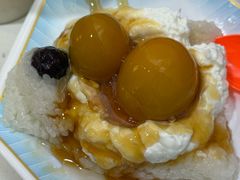 杏子酱酸奶粽子-和田爱乐塔西娜刨冰粽子