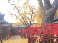 -青岛德国总督楼旧址博物馆