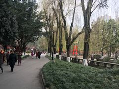 -温江公园