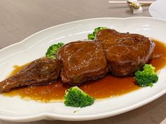 -丁老爷子苏香圆