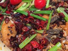 -老板恋上鱼(恒隆广场店)