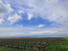-青海湖国家重点风景名胜区