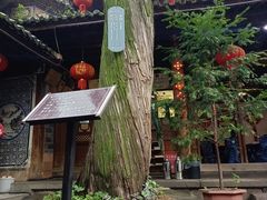 -巍山古城