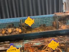 -韩记海鲜饺子旗舰店(红海新区店)