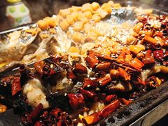 清江鱼-鱼乐圈烤鱼餐厅(富尔沃·财富街店)