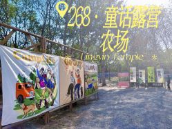 -268童话露营营地·烧烤·团建