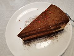 -树咖啡tree coffee