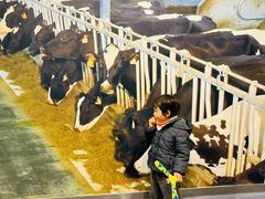-君乐宝优致牧场