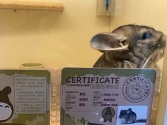 -龙猫仔乐园(惠福东路店)