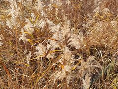 -苏州太湖国际高尔夫俱乐部