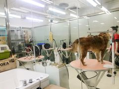 -乐宠宠物店(世纪金源店)