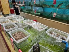-南庄酒家·海鲜粤菜·25年老字号(环城南路店)