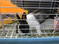 -UltraForce超源健身私教工作室(长楹天街精品店)