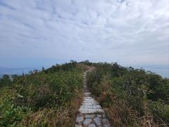 -马峦山郊野公园