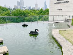 -行者书屋大堂吧 ·下午茶(南京圣和府邸酒店)