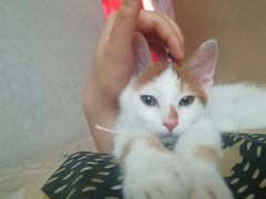 -酷狗靓猫宠物·洗护·美容·寄养(航北路店)