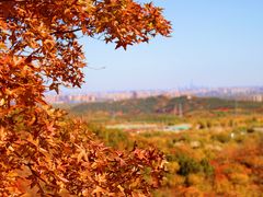 -北宫国家森林公园