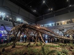 -自贡恐龙博物馆