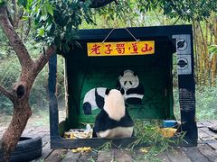 -广州长隆野生动物世界