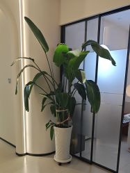 -悦色嘉丽科技美肤健康管理