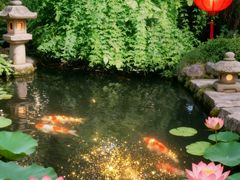 -香然会·园林雅宴(陆家嘴店)