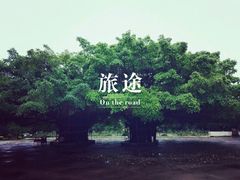-江门古兜温泉小镇