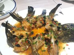 海钓石斑鱼胸鳍-匠心牛公馆·潮汕牛肉海鲜火锅(索菲特店)