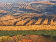 -帽儿山国家森林公园